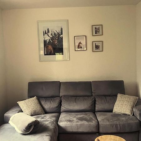 Buhl De Bonheur Villa Guebwiller Exteriör bild
