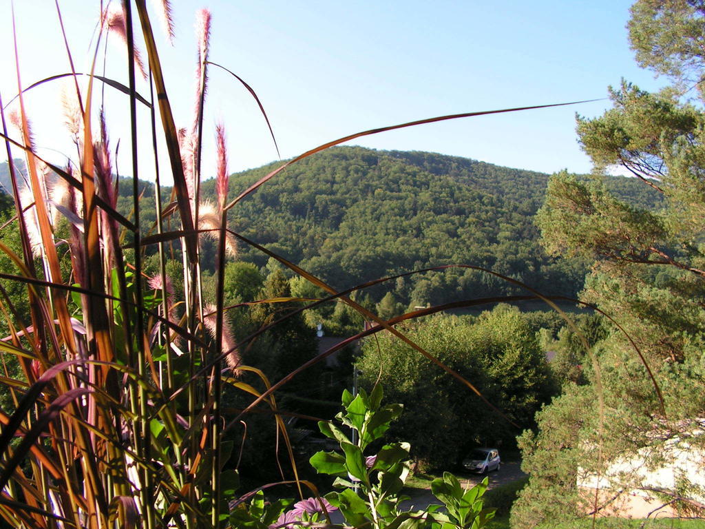 Buhl De Bonheur Villa Guebwiller Exteriör bild
